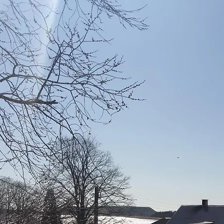 Delfin アパート *