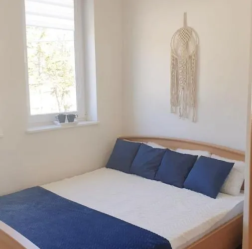 Delfin Apartamento *